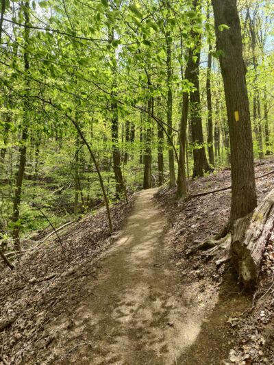 Flat Rock Trailhead - Newville, PA