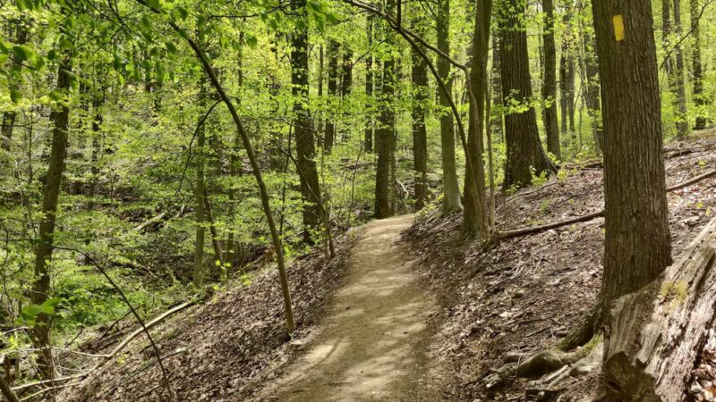 Flat Rock Trailhead - Newville, PA