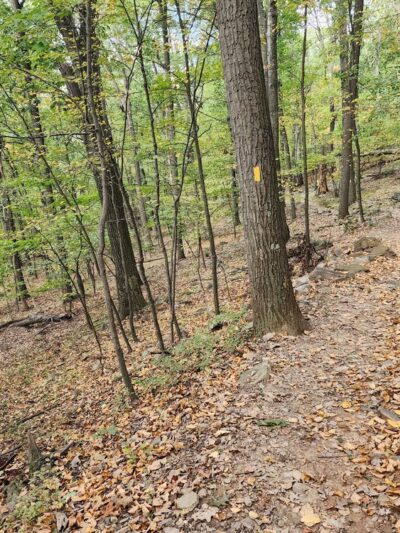 Flat Rock Vista - Newville, PA