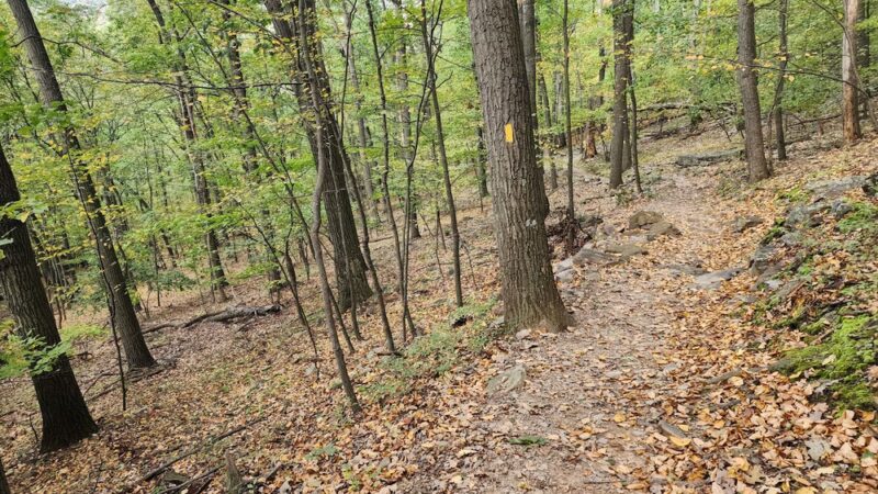 Flat Rock Vista - Newville, PA