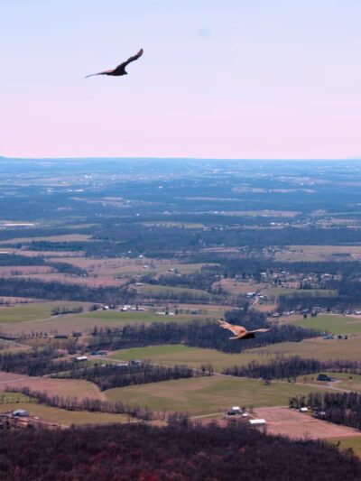 Flat Rock Vista - Newville, PA