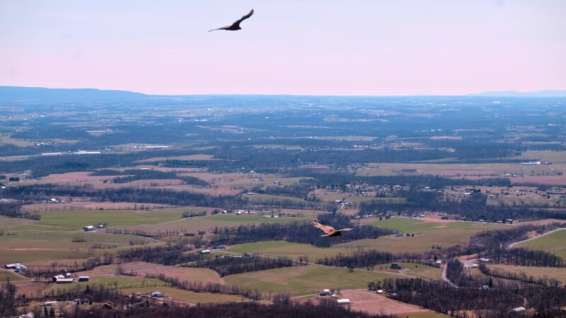 Flat Rock Vista - Newville, PA