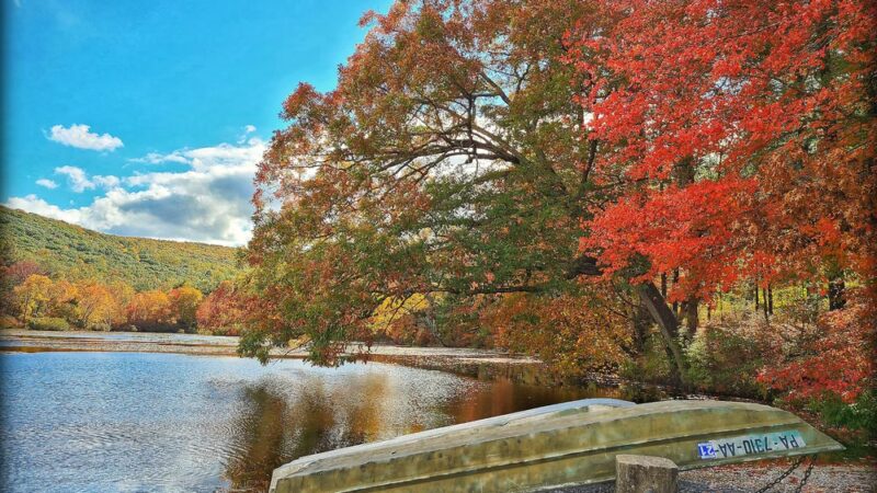 Laurel Lake Parking Area - Newville, PA