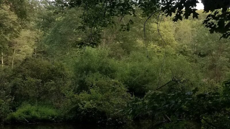 Laurel Lake Parking Area - Newville, PA