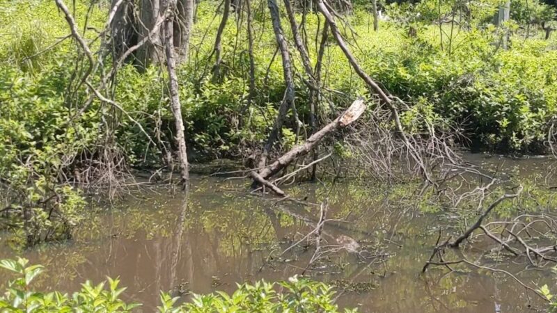 State Game Lands Number 169 - Newville, PA