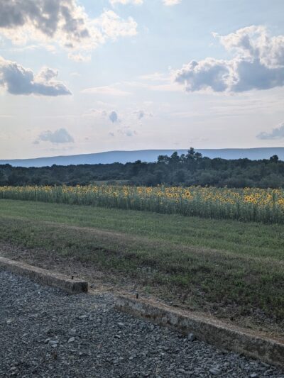 State Game Lands Number 169 - Newville, PA