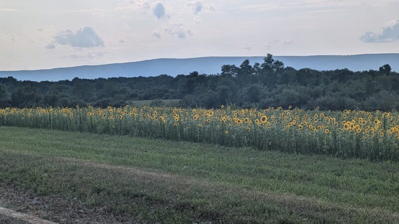 State Game Lands Number 169 - Newville, PA