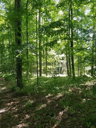 Menominee Riverside Walking/X-Country Ski Trails - Niagara, WI