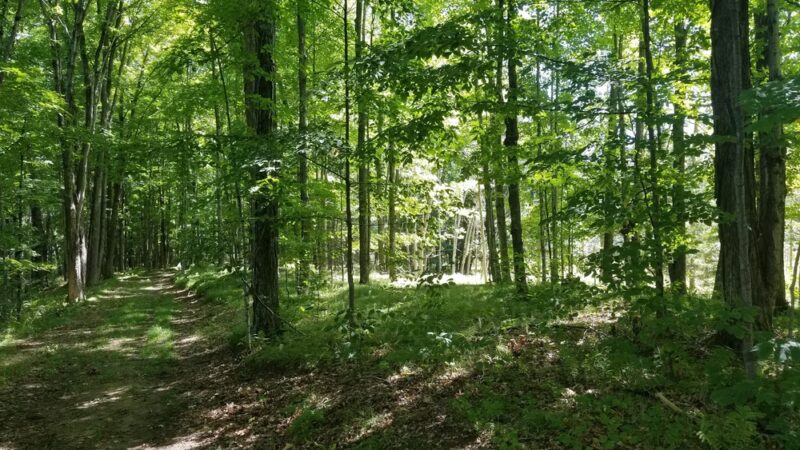 Menominee Riverside Walking/X-Country Ski Trails - Niagara, WI