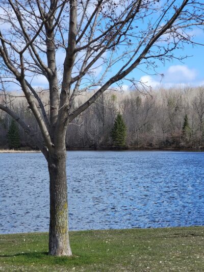 Menominee Riverside Walking/X-Country Ski Trails - Niagara, WI