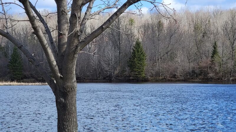 Menominee Riverside Walking/X-Country Ski Trails - Niagara, WI
