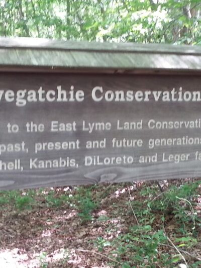 Oswegatchie Hills Nature Preserve - Niantic, CT