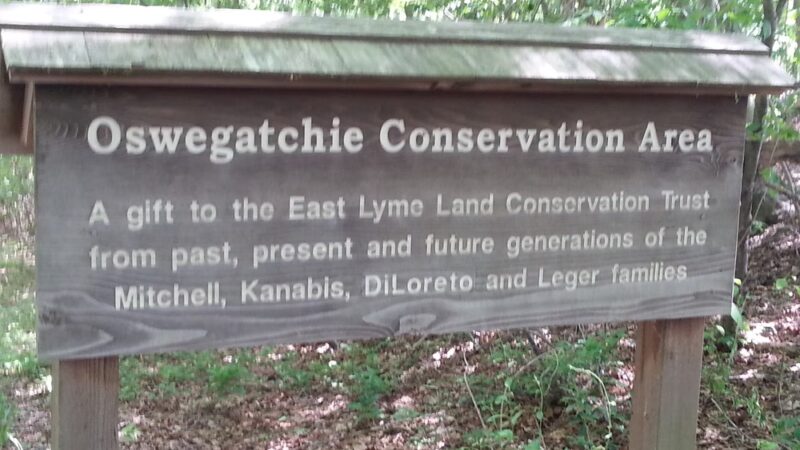Oswegatchie Hills Nature Preserve - Niantic, CT