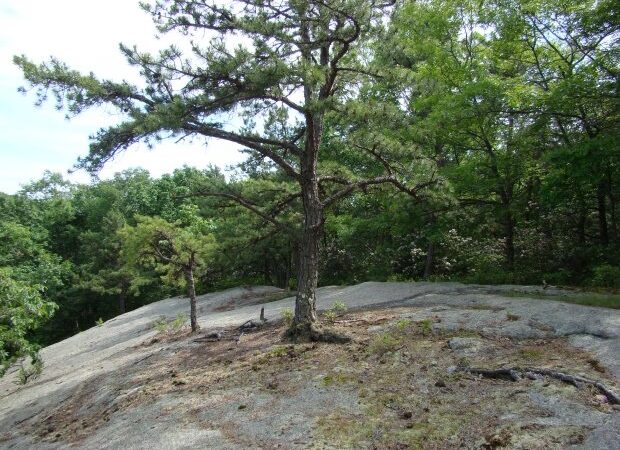 Oswegatchie Hills Nature Preserve - Niantic, CT