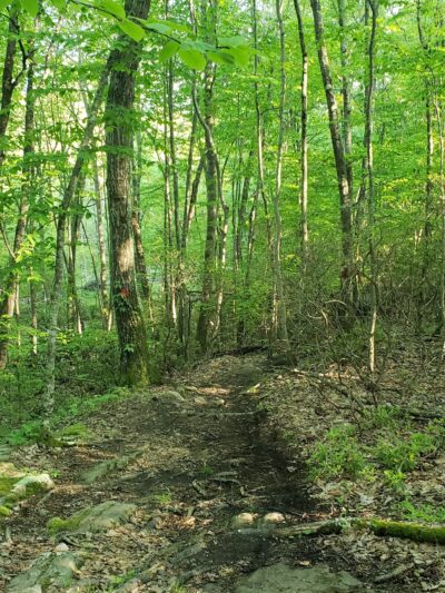 Oswegatchie Hills Nature Preserve - Niantic, CT