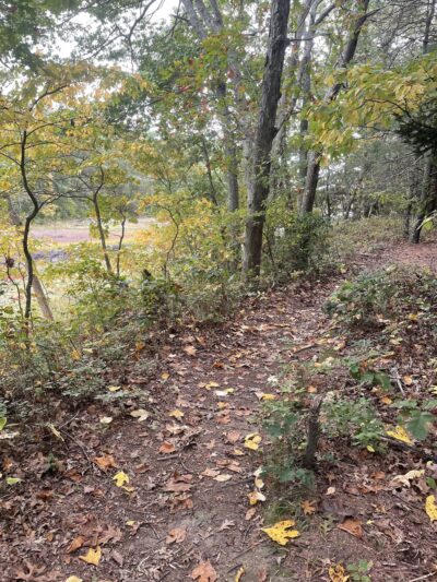 Ravenswood Trail - Niantic, CT
