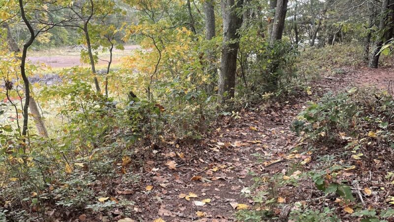 Ravenswood Trail - Niantic, CT