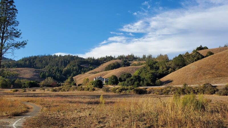French Ranch Preserve - Nicasio, CA