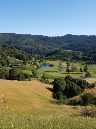 French Ranch Preserve - Nicasio, CA