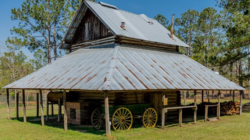 General Coffee State Park - Nicholls, GA