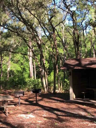 General Coffee State Park - Nicholls, GA