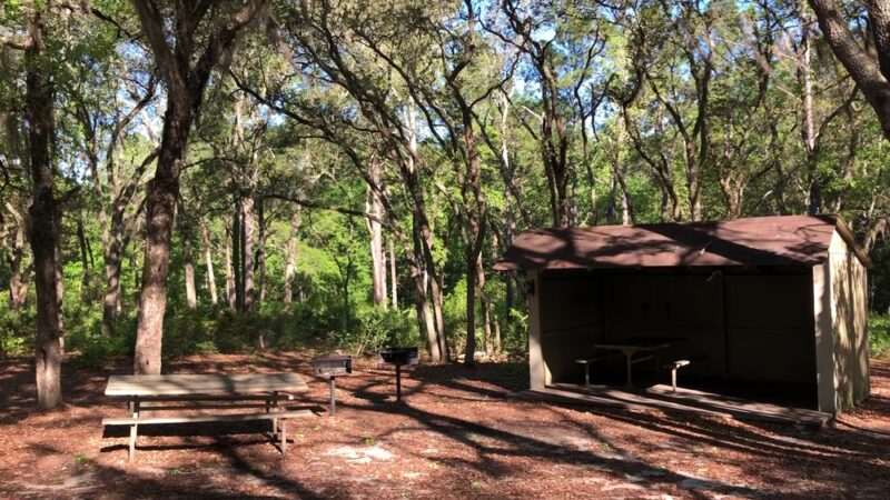 General Coffee State Park - Nicholls, GA