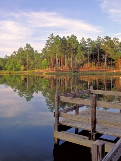 General Coffee State Park - Nicholls, GA