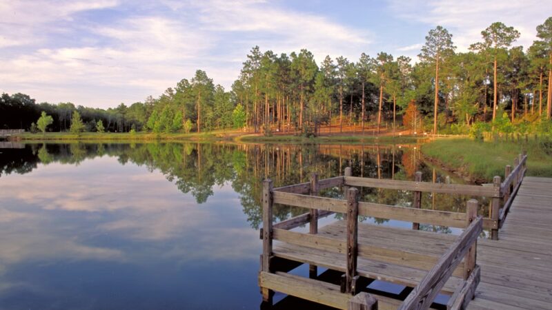 General Coffee State Park - Nicholls, GA