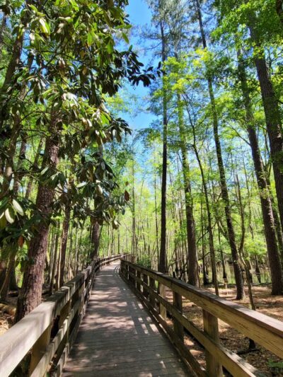 General Coffee State Park - Nicholls, GA