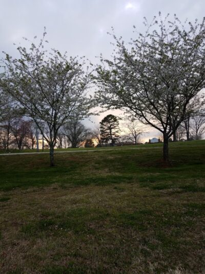 East Jackson Park - Nicholson, GA