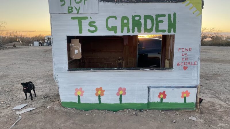 T’s Garden - Niland, CA