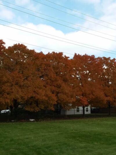 Courtland Park - Niles, IL