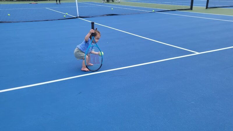 Jonquil Terrace Park - Niles, IL