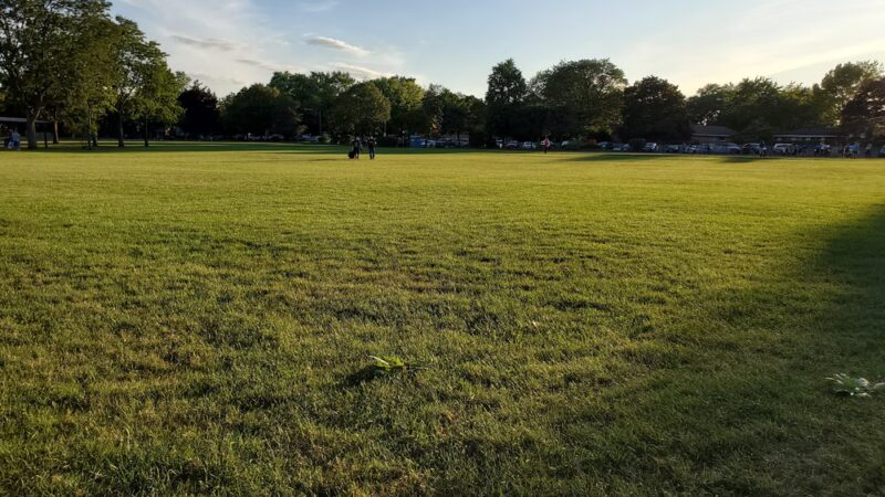 Jonquil Terrace Park - Niles, IL