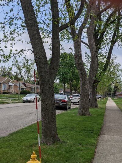 Oakton Manor Park - Niles, IL