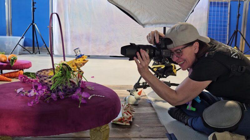 The Dog House of L. C. & L - Niles, IL