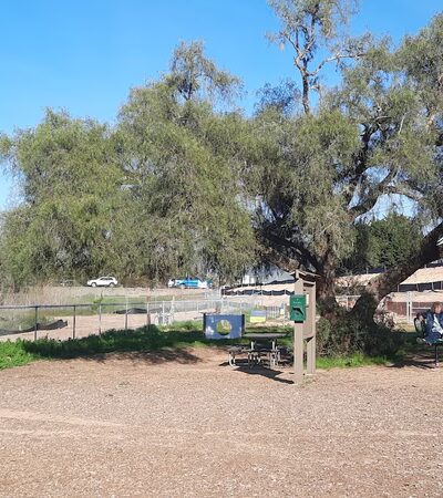 Nipomo Regional Park off leash dog area - Nipomo, CA
