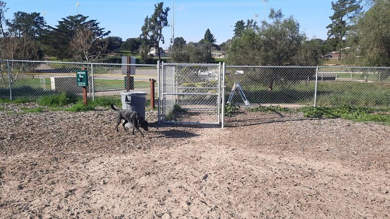Nipomo Regional Park off leash dog area - Nipomo, CA