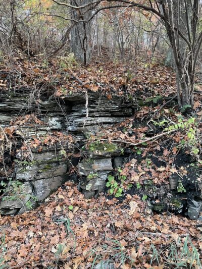 Aqueduct Park - Niskayuna, NY