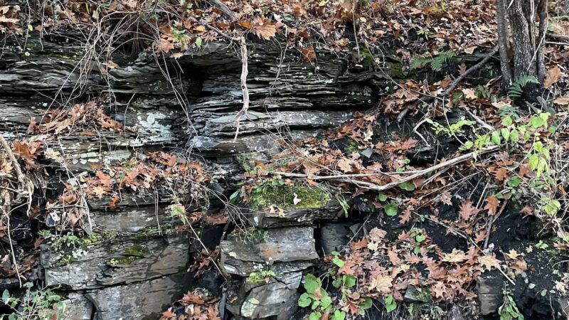 Aqueduct Park - Niskayuna, NY
