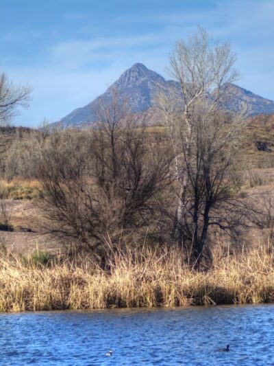 Patagonia Lake State Park - Nogales, AZ