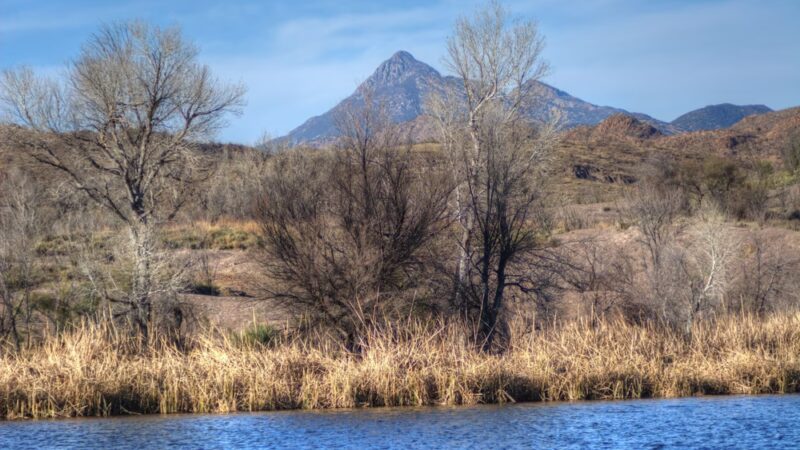 Patagonia Lake State Park - Nogales, AZ