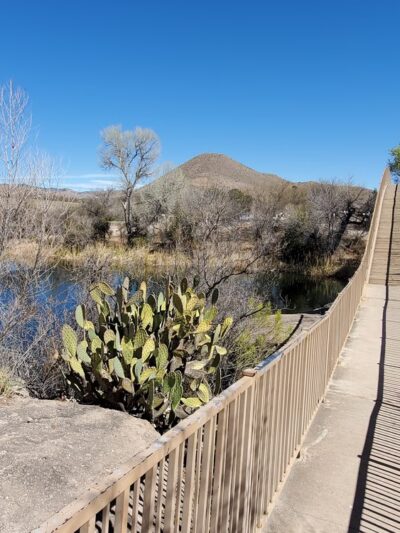 Patagonia Lake State Park - Nogales, AZ
