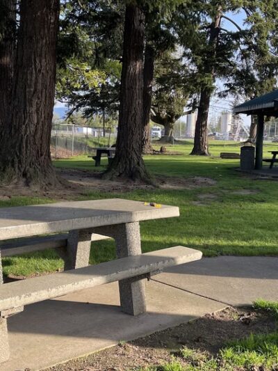 Nooksack City Park - Nooksack, WA