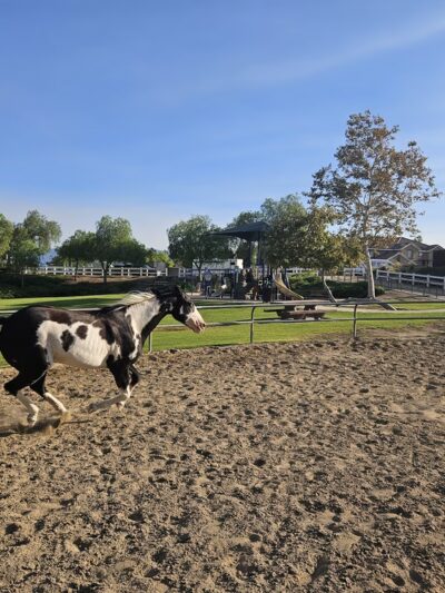 Pacer Park - Norco, CA