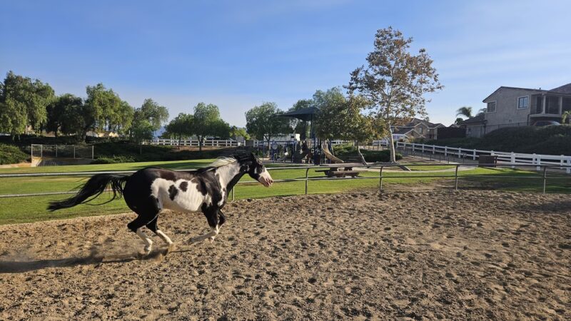 Pacer Park - Norco, CA