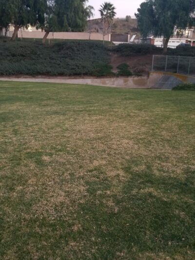Pacer Park - Norco, CA