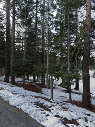 Dog Park - Norden, CA