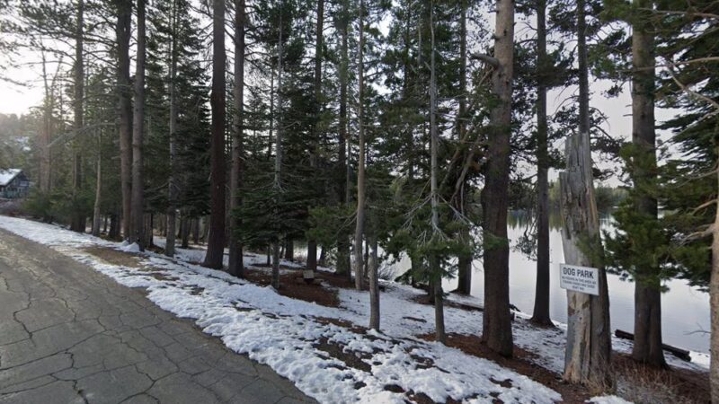 Dog Park - Norden, CA