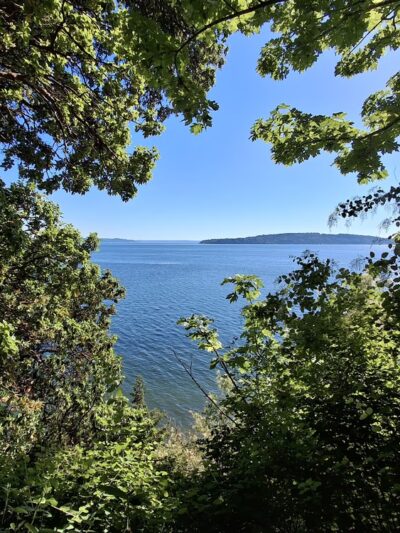 Valley Loop Trail - Normandy Park, WA